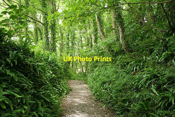 Photo 6"x4" Lansallos: path to the village Lansallos c2009