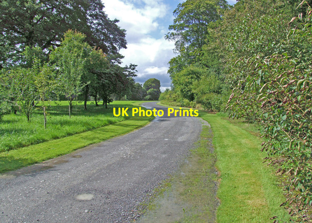Photo 6"x4" Birr Castle grounds Birr c2008
