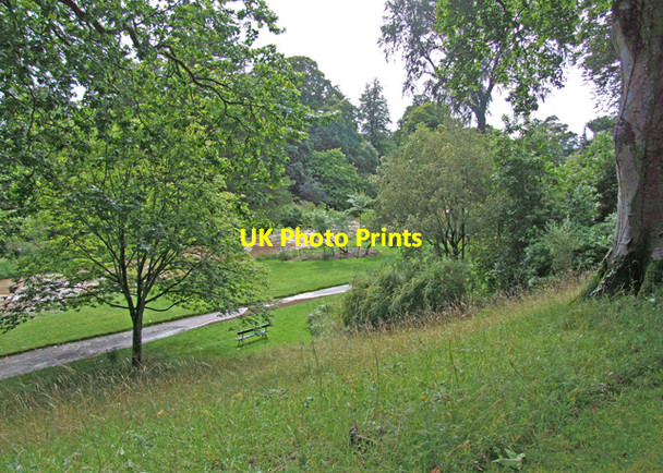 Photo 6"x4" Birr Castle gardens Birr c2008 P1