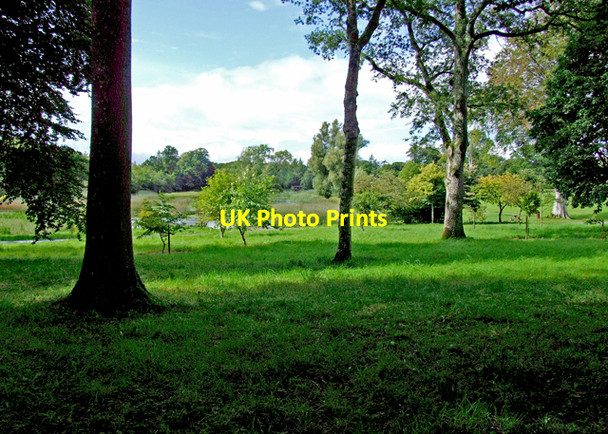 Photo 6"x4" Birr Castle grounds Birr c2008
