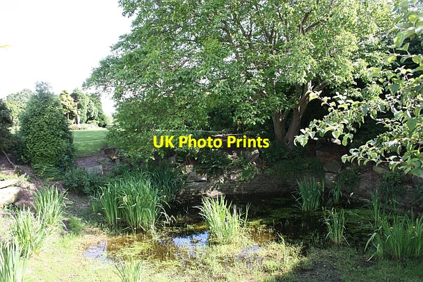Photo 6"x4" Deep wetland area, Little Welland Farm Little Welland c2009