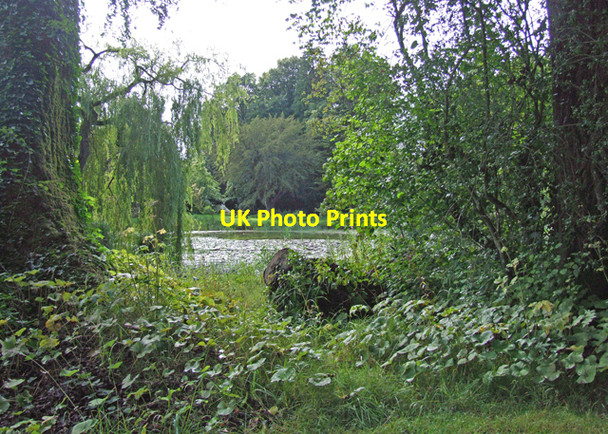 Photo 6"x4" Birr Castle gardens Birr c2008