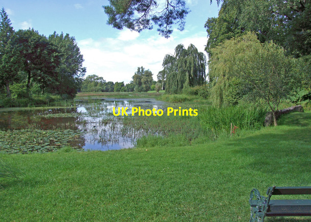 Photo 6"x4" Birr Castle grounds Birr c2008