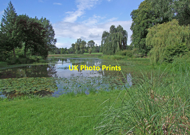 Photo 6"x4" Birr Castle grounds Birr c2008 P1