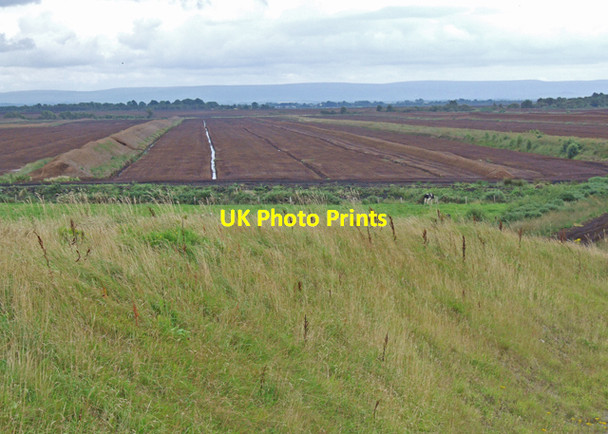 Photo 6"x4" Peat bog Co.Offaly Ballynahown c2008