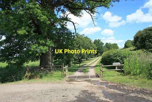 Photo 6"x4" Track to Dayhouse Earl's Croome c2009