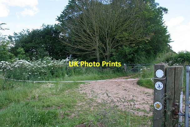 Photo 6"x4" The Severn Way Earl's Croome c2009