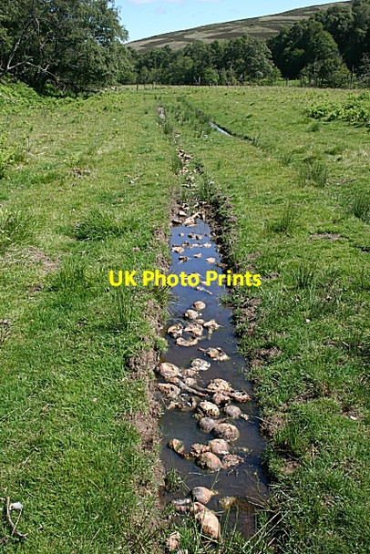 Photo 6"x4" Rotting Neeps Milltown of Auchindoun c2009