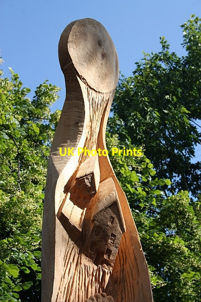 Photo 6"x4" Tree sculpture - detail , Priory Park Great Malvern c2009