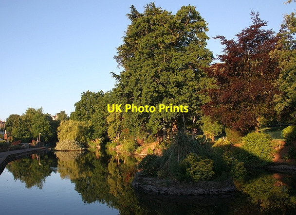 Photo 6"x4" Swan Pool Great Malvern c2009