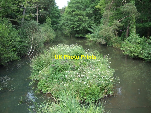 Photo 6"x4" Canal leading from Stover lake Heathfield\/SX8376 c2009