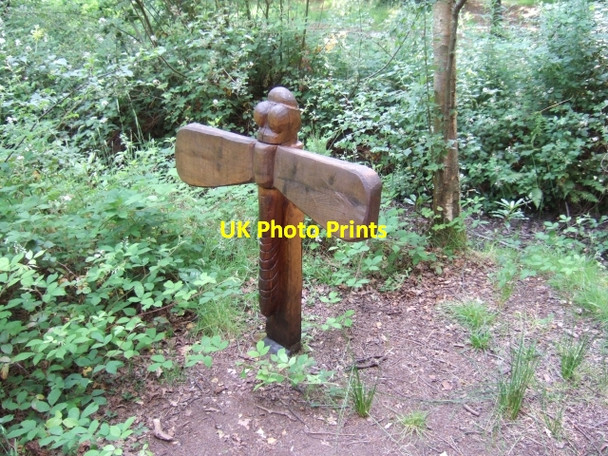 Photo 6"x4" Carved damsel-fly, Stover Country Park Heathfield\/SX8376 c2009