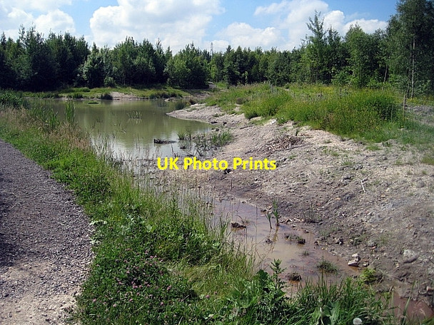 Photo 6"x4" Lofthouse Colliery Park Carr Gate c2009 P3