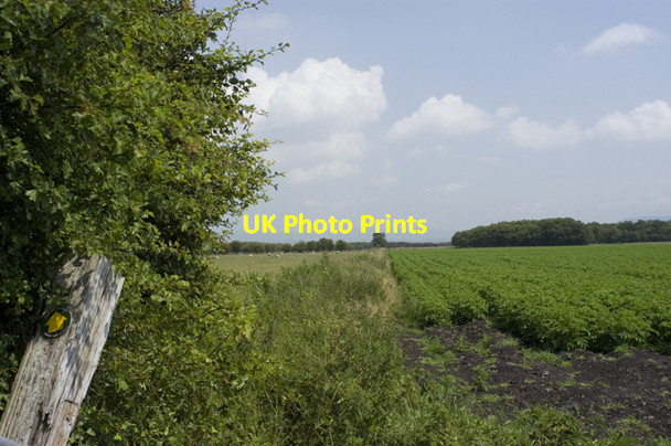 Photo 6"x4" Start of Crawleys Dyke path Winmarleigh Moss c2009