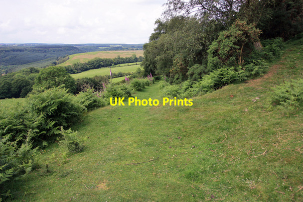 Photo 6"x4" Footpaths above Newton Dale Levisham c2009