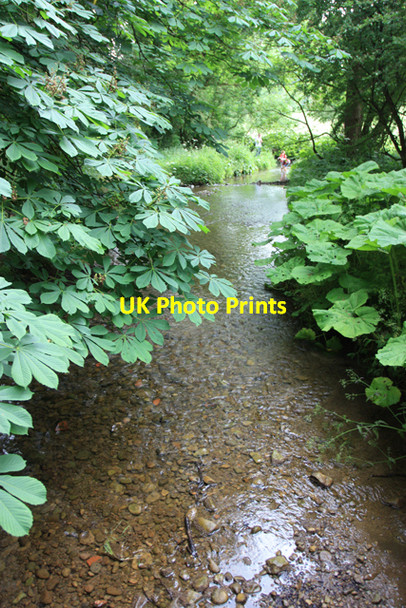 Photo 6"x4" The stream near Levisham Church Levisham c2009
