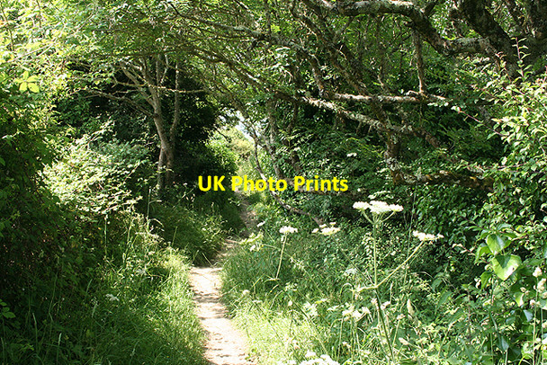 Photo 6"x4" Kingston: South West Coast Path near Malthouse Point Mothecombe c2009