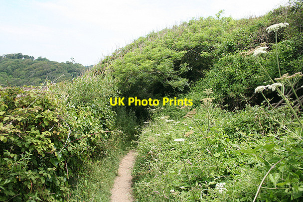 Photo 6"x4" Kingston: South West Coast Path Mothecombe c2009