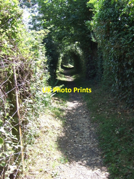 Photo 6"x4" Footpath beside railway line Sandy Gate\/SX9691 c2009
