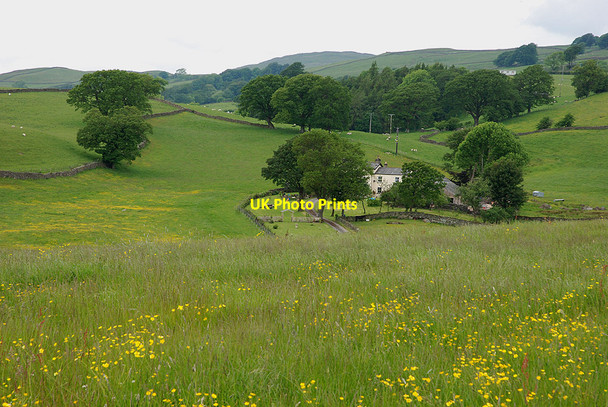 Photo 6"x4" Fields around Barnsdale Burneside c2009