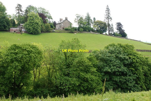 Photo 6"x4" Fields by Thorneybank Garnett Bridge c2009