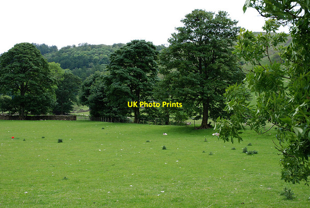 Photo 6"x4" Fields by the River Sprint Sadgill c2009