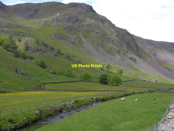 Photo 6"x4" Fields by the River Sprint Sadgill c2009