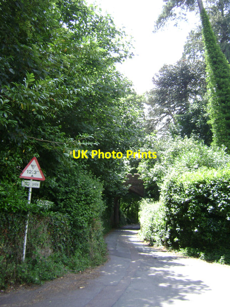 Photo 6"x4" Aller Hill passes under Aller Arch, Dawlish Dawlish c2009