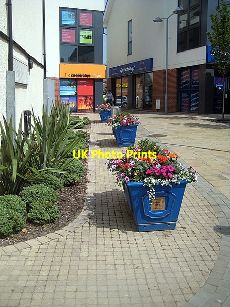 Photo 6"x4" Floral tubs Rothwell\/SE3428 c2009