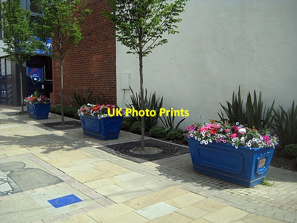 Photo 6"x4" Floral tubs Rothwell\/SE3428 c2009 P1