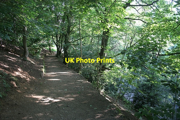 Photo 6"x4" Path down from Herefordshire Beacon Little Malvern c2009