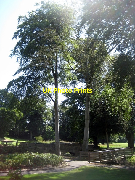 Photo 6"x4" Springhead Park Rothwell\/SE3428 c2009 P1