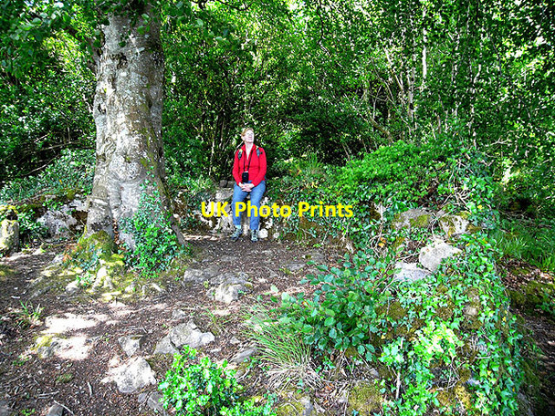 Photo 6"x4" Lookout point, Rossergole peninsula Belleek c2009