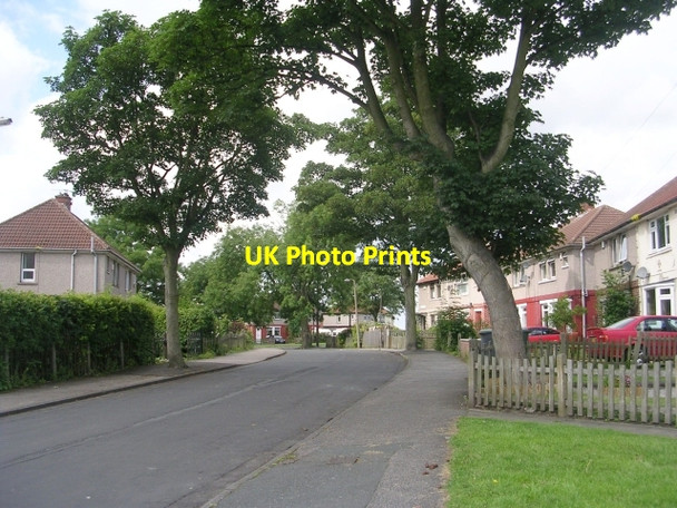 Photo 6"x4" Kirkley Avenue - Griffe Road Wyke\/SE1526 c2009