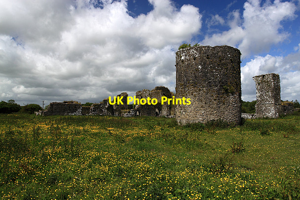 Photo 6"x4" Ballybeg Priory Buttevant c2009