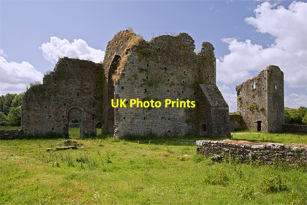 Photo 6"x4" Ballybeg Priory (3) Buttevant c2009