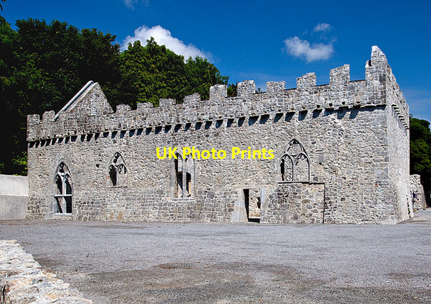 Photo 6"x4" Castles of Munster: Halla M\u00c3\u00b3r or Great Hall, Newcastle West, Limerick Newcastle West c2009