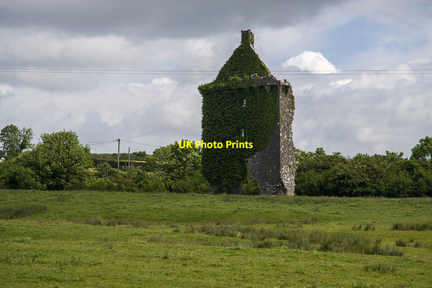 Photo 6"x4" Castles of Munster: Lisgriffin, Cork (1) Castlecor c2009
