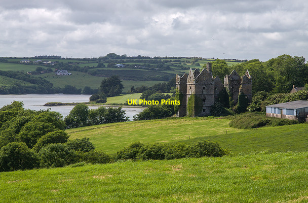 Photo 6"x4" Castles of Munster: Mountlong, Cork (1) Belgooly c2009