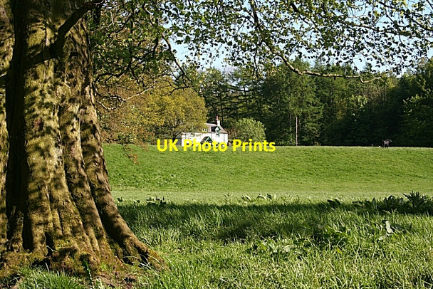 Photo 6"x4" Near Burnfoot Burnfoot\/NY2574 c2009