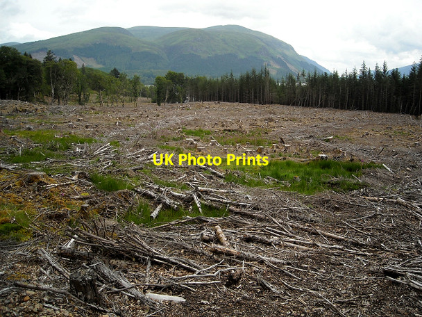 Photo 6"x4" Felled Forest Near Loch Lochy Gairlochy\/Ge\u00e0rr Lochaidh c2009