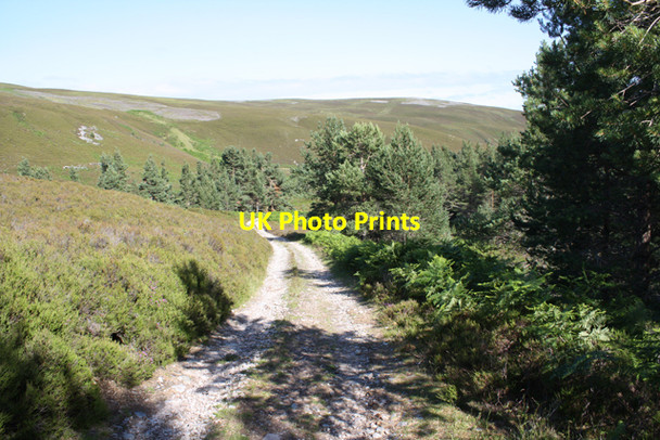 Photo 6"x4" Track in Glen Tulchan Allt na L\u00f2ine Mh\u00f2ir c2009