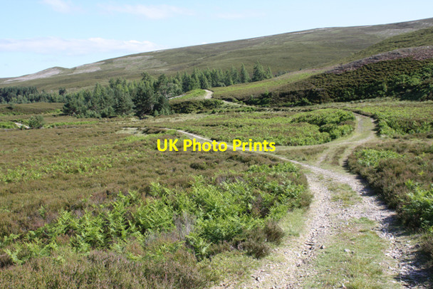 Photo 6"x4" Track junction, Glen Tulchan Carn na h-Eige c2009