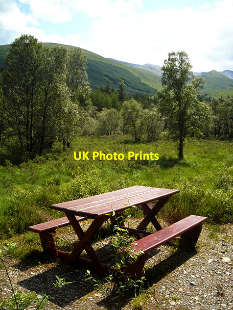 Photo 6"x4" Picnic Spot in Leanachan Forest Coille L\u00e8anachain c2009