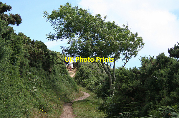 Photo 6"x4" Lanteglos: above Wellake Fowey c2009