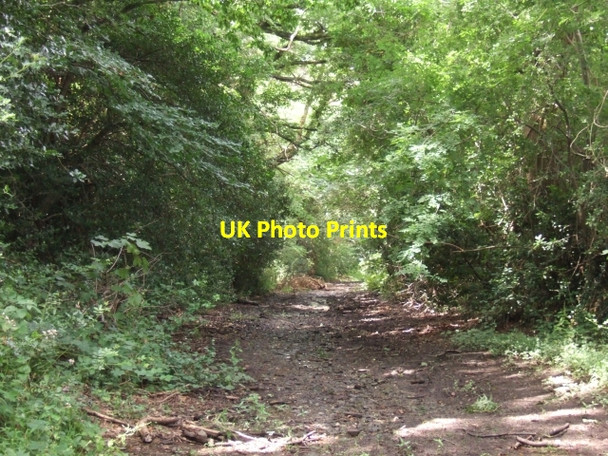 Photo 6"x4" Belvidere Road, Exeter Exeter c2009