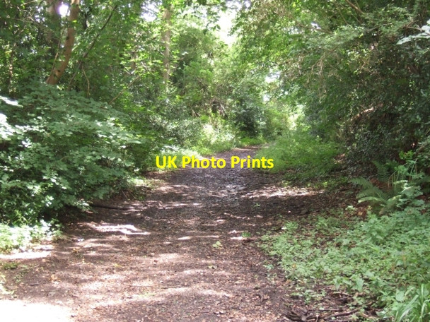 Photo 6"x4" Belvidere Road, Exeter Exeter c2009 P1