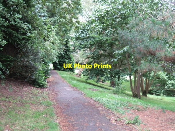 Photo 6"x4" A path through the grounds of the University of Exeter Exeter c2009
