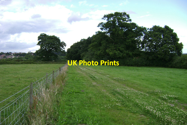 Photo 6"x4" Trees around two ponds near Budbrooke Farm Budbrooke c2009