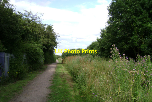 Photo 6"x4" Northern Enclosure, Warwick Common Warwick c2009